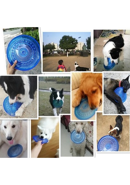 3 Mor Stil 15.5cm 1 Adet Etkileşimli Köpek Oyuncakları Tpr Silikon Uçan Daire Köpekler Oyunu Frizbi Anti-Çiğneme Direnci Bite Köpek Eğitimi Pet Malzemeleri (Yurt Dışından) indirimleri