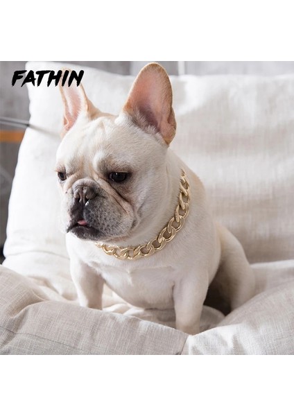 Şerit Tarzı 47CM Fathın Plastik Punk Altın Köpek Zinciri Yaka Pet Takı Fotoğraf Sahne Köpek Aksesuarları Küçük Büyük Köpekler Için 37CM (Yurt Dışından) fırsatları