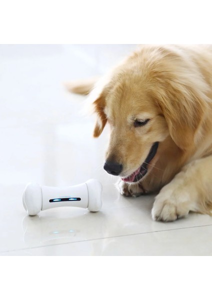 Nane Aksesuarları Tarzı Yeni Wıckedbone Akıllı Telefon Uygulaması Kontrolü Köpekler Için Pet Duygusal Etkileşim Kemik Pet Duygular Oyuncak (Yurt Dışından) fiyatları