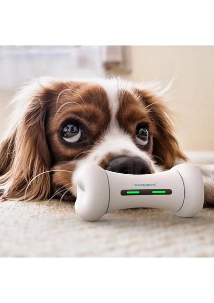 Nane Aksesuarları Tarzı Yeni Wıckedbone Akıllı Telefon Uygulaması Kontrolü Köpekler Için Pet Duygusal Etkileşim Kemik Pet Duygular Oyuncak (Yurt Dışından) indirimleri