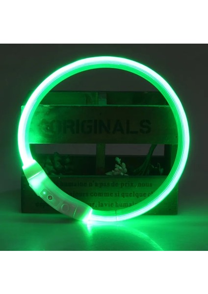 Yeşil Stil L 70CM 27.6 Inç Rojeco LED USB Köpek Tasması Şarj Edilebilir LED Gece Güvenliği Pet Köpek Tasmaları Tüp Yanıp Sönen Glow Parlayan Aydınlık Gece Köpek Tasma Kurşun (Yurt Dışından)