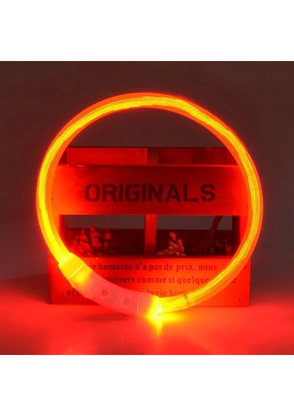 Kırmızı Stil S 35CM 13.8 Inç Rojeco LED USB Köpek Tasması Şarj Edilebilir LED Gece Güvenliği Pet Köpek Tasmaları Tüp Yanıp Sönen Glow Parlayan Aydınlık Gece Köpek Tasma Kurşun (Yurt Dışından)