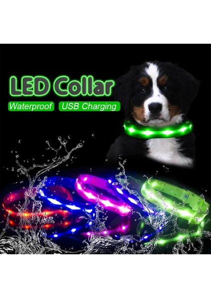 Longbangdian Shop Mor Tarzı L Boyun 49-70CM Ipx7 Su Geçirmez LED Köpek Yaka Köpekler Için Noel USB Şarj Yaka Köpek Yavruları Anti-Kayıp Kurşun Pet Ürünleri Köpek Aksesuarları (Yurt Dışından)