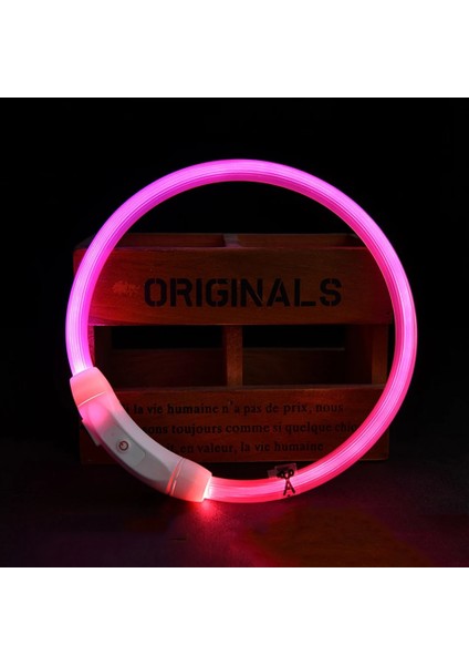 Pembe Tarzı S 35CM 13.8 Inç Rojeco LED USB Köpek Tasması Şarj Edilebilir LED Gece Güvenliği Pet Köpek Tasmaları Tüp Yanıp Sönen Glow Parlayan Aydınlık Gece Köpek Tasma Kurşun (Yurt Dışından)