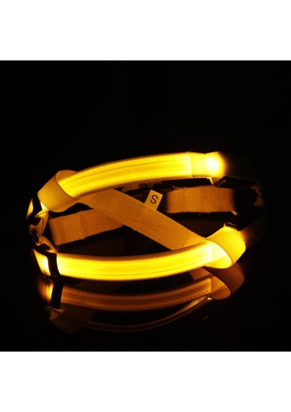 Mavi Stil L Beden Naylon Pet Güvenlik LED Koşum Köpek Ürünü Yanıp Sönen Işık Koşum LED Köpek Koşum Tasma Halat Kemer LED Köpek Yaka Yelek Pet Malzemeleri (Yurt Dışından) fırsatları