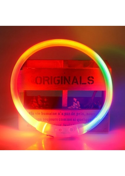 Renkli Stil L 70CM 27.6 Inç Rojeco LED USB Köpek Tasması Şarj Edilebilir LED Gece Güvenliği Pet Köpek Tasmaları Tüp Yanıp Sönen Glow Parlayan Aydınlık Gece Köpek Tasma Kurşun (Yurt Dışından)