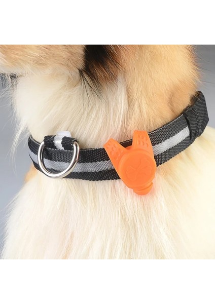 Turuncu Tarzı Pet LED Kolye Emniyet Yanıp Sönen Glow Işık Yanıp Sönen LED Yaka Kolye Pet Köpek Yavrusu Için Yaka Kolye (Yurt Dışından) fiyatları