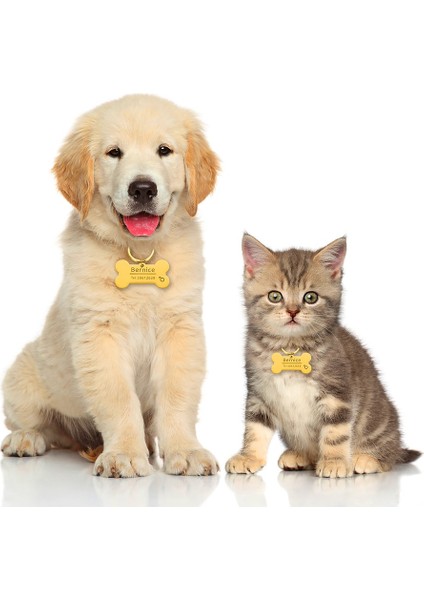 Kalp Gümüş Tarzı L Beden Kişiselleştirilmiş Kazınmış Kedi Köpek Pet Kımlık Etiketi Köpek Anti-Kayıp Yaka Charm Pet Adı Yaka Köpek Için Kedi Yaka Aksesuarları (Yurt Dışından) fırsatları