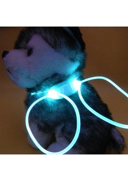 Sarı Stil Ayarlanabilir Yüksek Li Çok Renkli LED Pet Yaka Ayarlanabilir Gece Güvenliği Pet Yaka Aydınlık Light Up Pet Köpek Parlak Yaka Tasma (Yurt Dışından) indirimleri