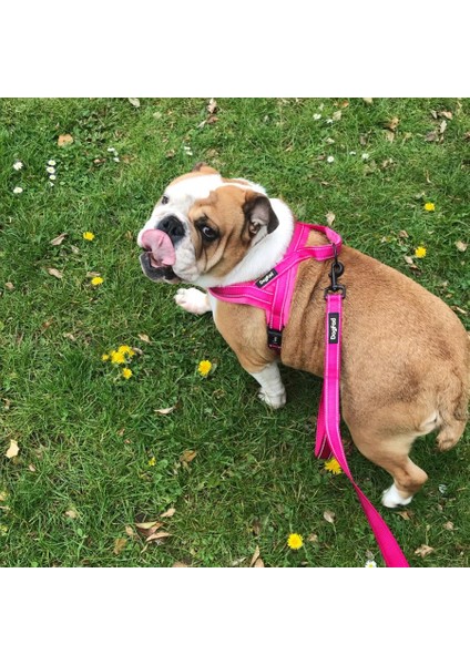 Siyah Tasma Stili M Beden No-Pull Köpek Koşum Yansıtıcı Ayarlanabilir Flanel Yastıklı Küçük Orta ve Büyük Köpek Koşum Yeleği Yürüyüş Eğitimi Için Kolay (Yurt Dışından)