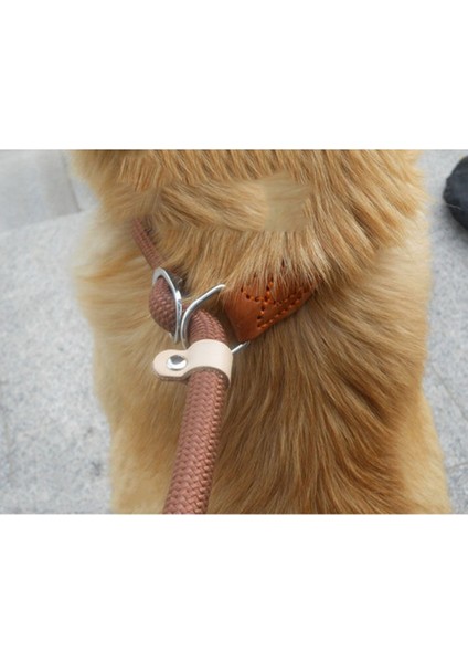 Köpek Hamess 7 Tarzı Xl Beden Yaka Koşum Köpek Tasma Naylon Pet Kurşun Tasma Ayarlanabilir Köpek Koşum Dayanıklı Halat Kemer Hafif Köpek Aksesuarları Pet Yaka (Yurt Dışından) fırsatları