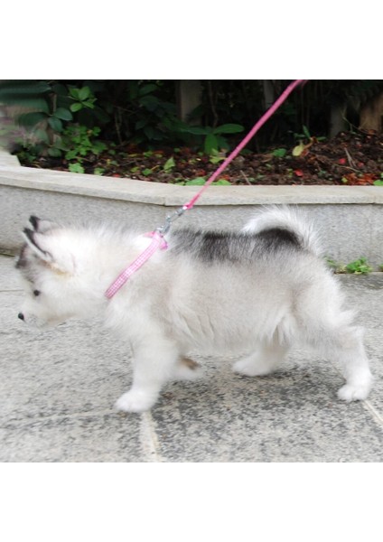 Pembe Yıldız Stili S Beden Köpek Kedi Yaka Tasma Ayarlanabilir Yaka Köpek Yavrusu Için Çan ile Kurşun Küçük Köpek Açık Yürüyüş Chihuahua Terier Schnauzer (Yurt Dışından)