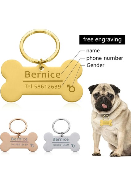 Balık Gümüş Tarzı S Beden Kişiselleştirilmiş Kazınmış Kedi Köpek Pet Kımlık Etiketi Köpek Anti-Kayıp Yaka Charm Pet Adı Yaka Köpek Için Kedi Yaka Aksesuarları (Yurt Dışından) modelleri