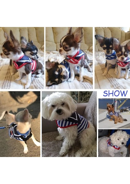 Kamuflaj Tarzı Xs Beden Pet Köpek Koşum Yumuşak Nefes Donanma Tarzı Tasma Küçük Orta Doguahua Için Set Köpek Yavrusu Yaka Kedi Pet Köpek Göğüs Kemeri Tasma (Yurt Dışından) fırsatları