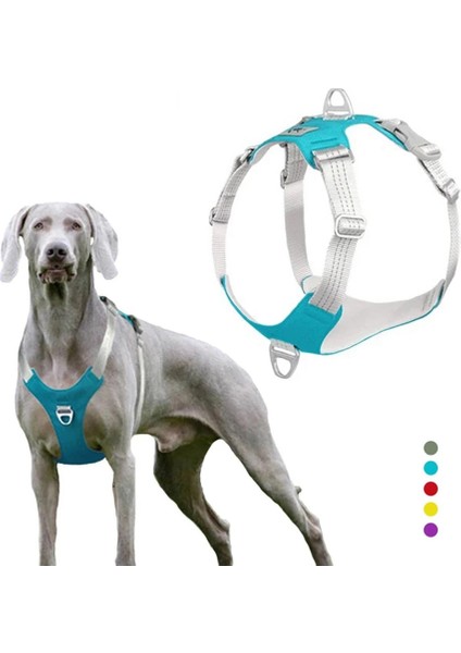 Ordu Yeşili Tarzı L Beden Pet Köpek Koşum Ayarlanabilir Yansıtıcı Köpek Göğüs Kemeri Yelek Küçük Orta Büyük Köpekler Için Açık Eğitim Koruyucu Köpek Koşum (Yurt Dışından) fiyatları