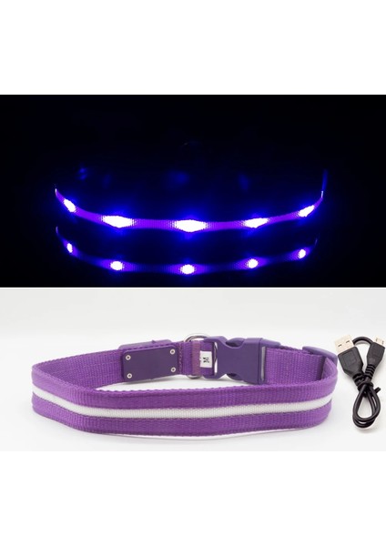 Mor Tarzı M Boyun 35-50CM Ipx7 Su Geçirmez LED Köpek Yaka Köpekler Için Noel USB Şarj Yaka Köpek Yavruları Anti-Kayıp Kurşun Pet Ürünleri Köpek Aksesuarları (Yurt Dışından)