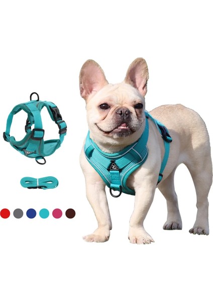 Gri Tarzı S Beden Köpek Koşum Witm Tasma Seti No Çekme No Choke Köpek Yelek Köpekler Için Ayarlanabilir Yansıtıcı Nefes Alabilir (Yurt Dışından)
