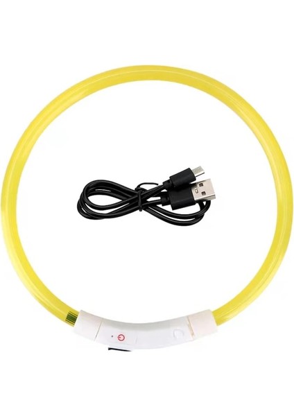 Sarı Stil LED USB Köpek Tasması Pet Köpek Gece Aydınlık Şarj Yaka LED Gece Güvenliği Yanıp Sönen Glow Köpek Kaybını Önleme Yaka Pet Aksesuar (Yurt Dışından)