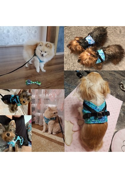 Yeşil Stil L Beden Kış Köpek Koşum Yelek Yaka Tasma Seti ile Pet Yürüyüş Koşum Ayarlanabilir Kedi Köpek Yavrusu Için Yansıtıcı Küçük Orta Büyük Köpek (Yurt Dışından) modelleri