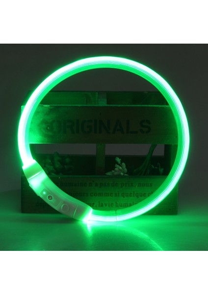 Yeşil Stil L Beden Rojeco LED USB Köpek Tasması Şarj Edilebilir LED Gece Güvenliği Pet Köpek Tasmaları Tüp Yanıp Sönen Glow Parlayan Aydınlık Gece Köpek Tasma Kurşun (Yurt Dışından)