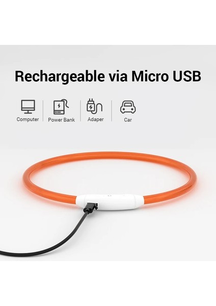 Yeşil Stil L Beden Rojeco LED USB Köpek Tasması Şarj Edilebilir LED Gece Güvenliği Pet Köpek Tasmaları Tüp Yanıp Sönen Glow Parlayan Aydınlık Gece Köpek Tasma Kurşun (Yurt Dışından)