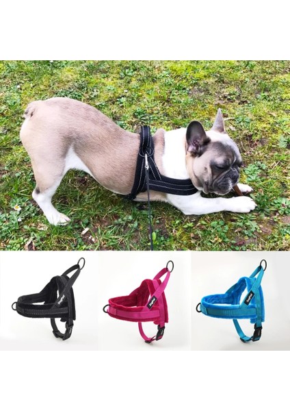 Mavi Tasma Stili L Beden No-Pull Köpek Koşum Yansıtıcı Ayarlanabilir Flanel Yastıklı Küçük Orta ve Büyük Köpek Koşum Yeleği Yürüyüş Eğitimi Için Kolay (Yurt Dışından)