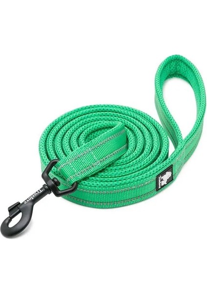 Çimen Yeşili Tarzı Uzunluk 2.5X110CM Truelove Yumuşak Yastıklı Örgü Köpek Tasma 3m Yansıtıcı Naylon Köpek Köpek Pet Leaolcm Uzunluk Yürüyüş Eğitimi Açar (Yurt Dışından)
