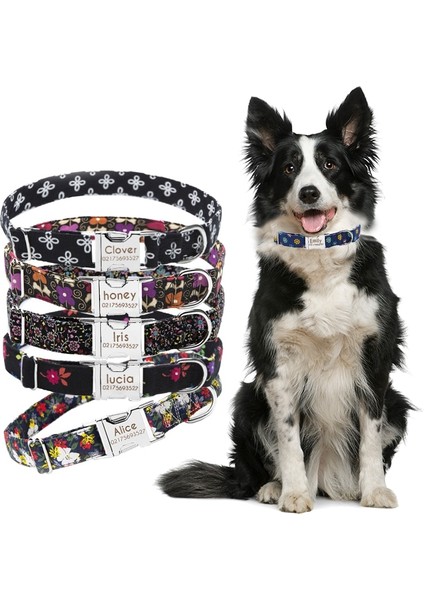 Color9 Stili Xs Beden Köpek Tasması Kediler Köpek Şeyleri Malzemeleri Oyulmuş Kimlik Etiketi Isim Plakası Adı Küçük Büyük Köpekler Için Özel Evcil Hayvan Ürünleri Tasmaları (Yurt Dışından) fırsatları
