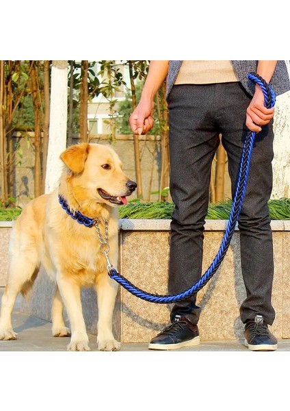 Mor Tarzı Xl 50 Ila 65 cm Çift Telli Halat Büyük Köpek Tasmalar Metal P Zincir Toka Ulusal Renk Pet Çekiş Halat Yaka Büyük Köpekler Için Set Uzunluğu (Yurt Dışından) modelleri