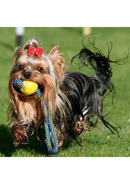 Sarı Stil 7cm cm Pet Köpek Eğitim Oyuncak Topu Yıkılmaz Katı Lastik Top Çiğneme Taşıyıcı Halat Bite ile Bite Oyuncak Oyna (Yurt Dışından)