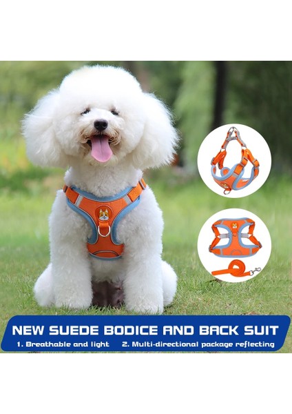 Açık Mavi Stil L Beden Yelek Tarzı Köpek Tasması Teddy Küçük Köpek Bichon Hiromi Göğüs Kemeri Yavru Köpek Yavruları Köpek Tasması Köpek Zinciri Geceleri Yansıtıcı, W Için Daha Güvenli (Yurt Dışından)