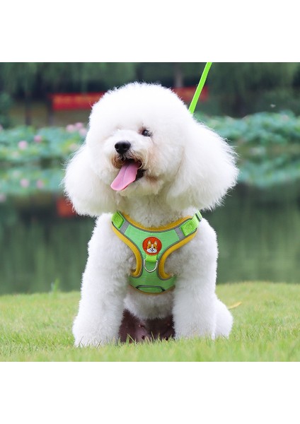 Açık Mavi Stil L Beden Yelek Tarzı Köpek Tasması Teddy Küçük Köpek Bichon Hiromi Göğüs Kemeri Yavru Köpek Yavruları Köpek Tasması Köpek Zinciri Geceleri Yansıtıcı, W Için Daha Güvenli (Yurt Dışından)