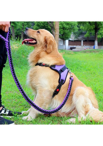 Mavi Set Stili L Beden Katı Köpek Koşum Yelek Yürüyüş ve Eğitim Pet Koşum ve Tasma Seti Ayarlanabilir Köpekler Yaka Koşum Fransız Bulldog Için Çekme Yok (Yurt Dışından) indirimleri