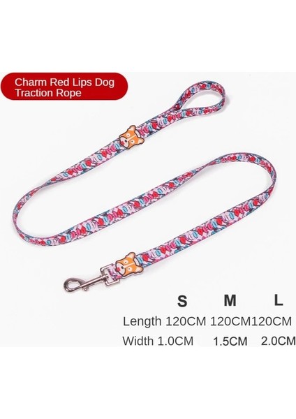 Köpek Tasması 2 Stili M Beden Köpek Koşum Yelek Eğitimi Köpekler Için Yaka Kediler Için Pet Tasma Koşum ve Yaka Yürüyüş Eğitimi Evcil Köpekler Köpek Aksesuarları (Yurt Dışından)