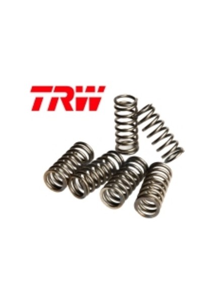 Triumhp 650 Daytona Debriyaj Yayı