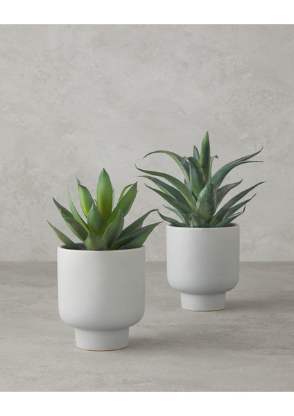 English Home Aloevera Plastik Vazolu Yapay Çiçek Yeşil