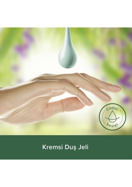 Duş Jeli Superfood Acai Üzümü & Yulaf 500 ml indirimleri