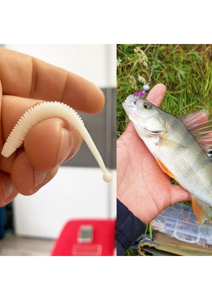 E Stili Lot Shrimp Smell Silicone Worm Soft Bait G Jig Wobblers Fishing Lure Artificial Bait For Bass Carp Pesca Tackle (Yurt Dışından)