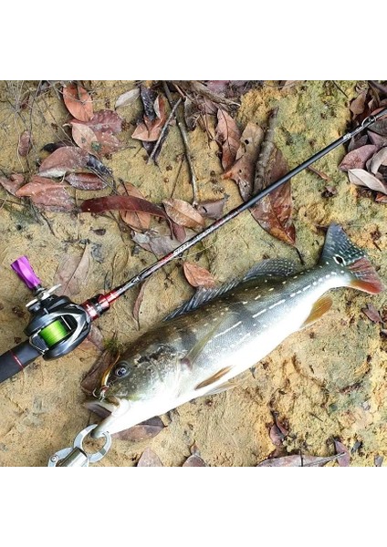 Altın Tarzı Lushazer Kaşık Balık Yemi 19G 8cm Metal Yem Bakır Balık Yemi Iscas Yapay Sert Yemler Crap Pesca Erbait (Yurt Dışından) modelleri