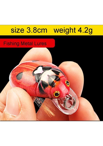 C1 -38MM 4.1g Stili G Olta Takımı Ağustosböceği Yemi Balıkçılık Cazibesi Böcek Böcek Cazibesi Deniz Böceği Krank Bas Sazan Olta Takımı Için Yüzer Wobbler (Yurt Dışından) fırsatları