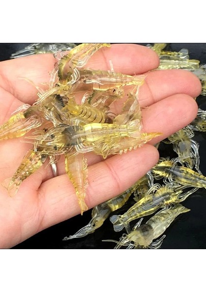 20 Adet Tarzı Lot Silikon Yemler 4cm 1g Yumuşak Balıkçılık Cazibesi Altın Yapay Karides Yemi Kanca Yok Deniz Balıkçılığı Kış Balıkçılığı X107 (Yurt Dışından)