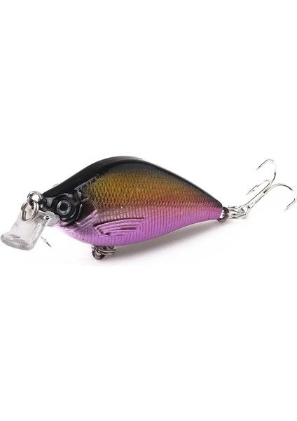 CB015-2 Stili 6.5cm 8.4g Yapay Bas Sazan Pike Balıkçılık Lures 3D Balık Gözü Sert Plastik Lazer Krank Yem Yansıtıcı Sahte Cazibesi Yemler (Yurt Dışından)