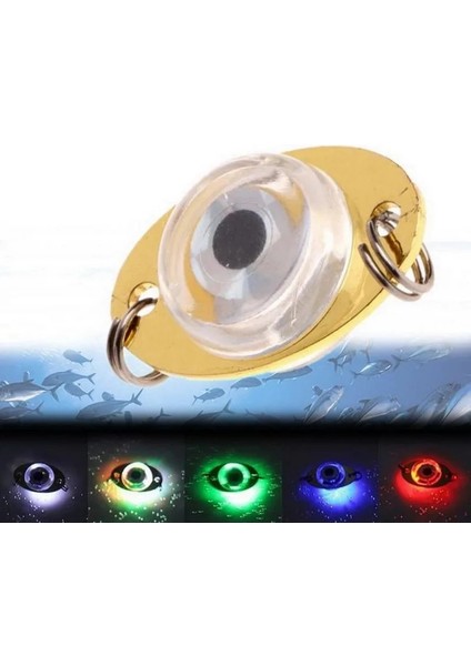 E Stili 1 Adet LED Balık Lambası Mini Balıkçılık Cazibesi Işık LED Derin Damla Sualtı Göz Şekli Balıkçılık Kalamar Balıkçılık Yemi Aydınlık Cazibesi (Yurt Dışından) fırsatları