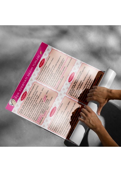 Aşık Edebiyatı Nazım Türleri Posteri- PO348 modelleri