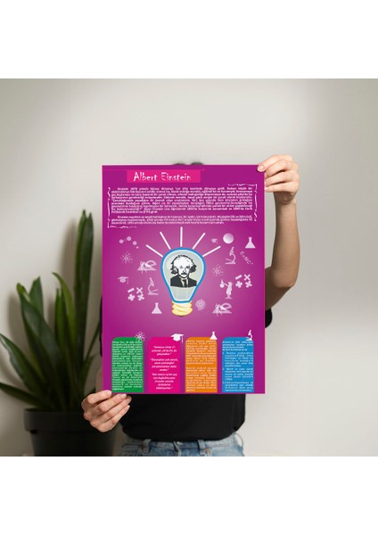 Albert Einstein Posteri - PO237 fiyatları