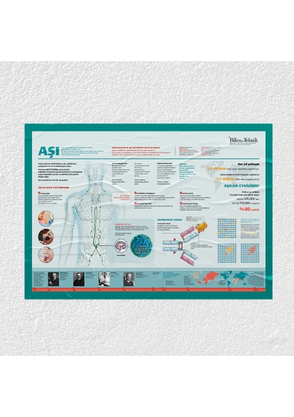 Aşıların Etkileri Posteri - PO705