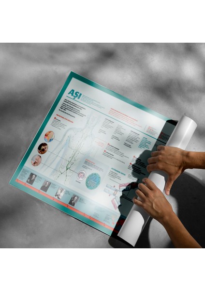 Aşıların Etkileri Posteri - PO705