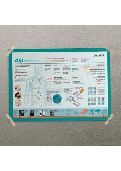 Aşıların Etkileri Posteri - PO705