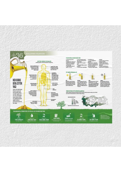 Zeytin Yağının Faydaları Posteri - PO723
