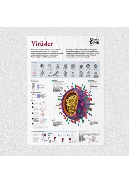 Virüsler Posteri - PO720